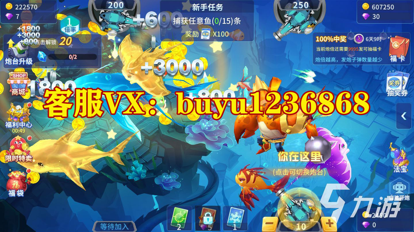 正版星力